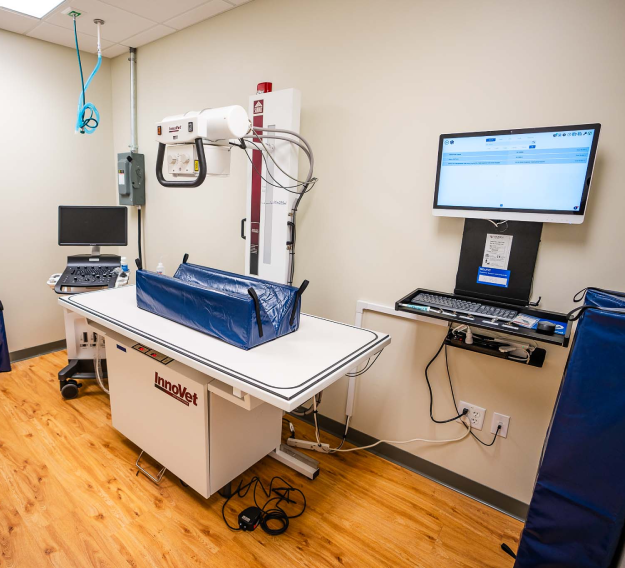 Advanced Diagnostic Imaging Is Vital for Your Pet’s Health