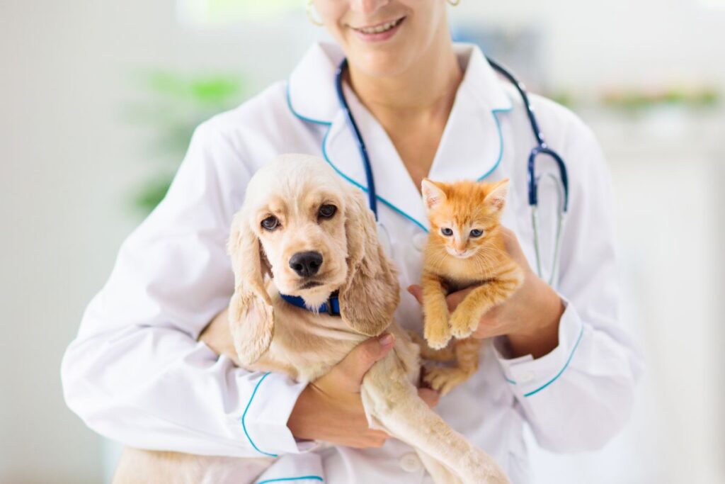 First pet Visit to veterinarian