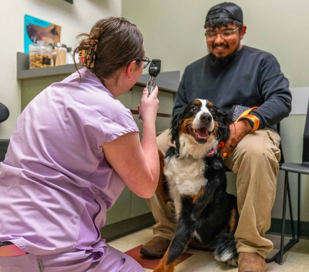 Emergency Veterinary Care: Available During Regular Business Hours