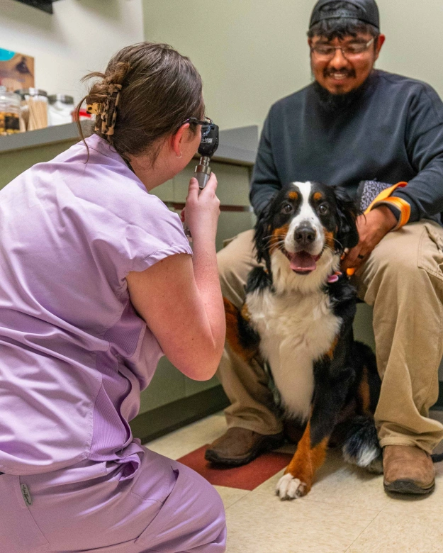 Preventative Care - Parasite Prevention